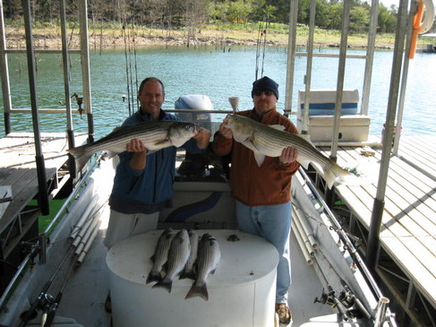 Nice Striped Bass