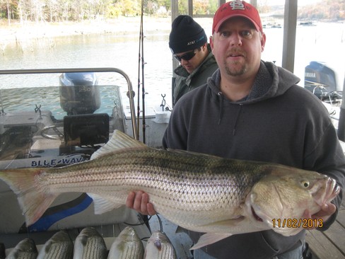 Nice Striped Bass