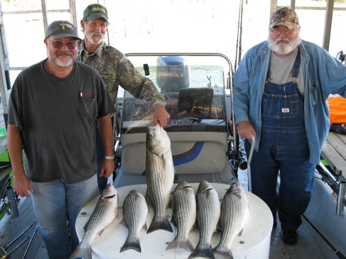 Nice Striped Bass