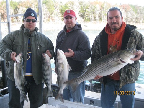 Nice Striped Bass