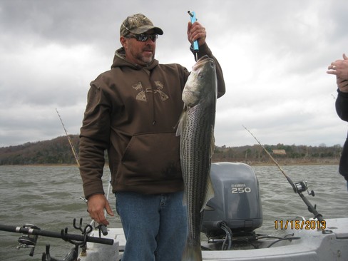 Nice Striped Bass