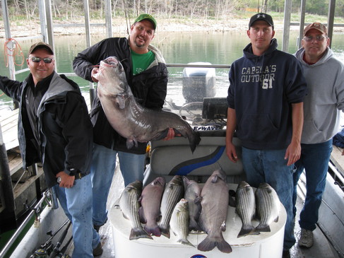 Nice Striped Bass