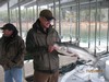 (11/21/2013) - Nice Striped Bass