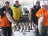 (11/21/2013) - Nice Striped Bass