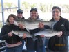 (11/29/2013) - Nice Striped Bass