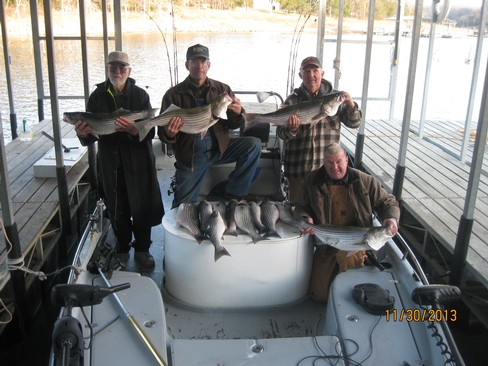 Nice Striped Bass