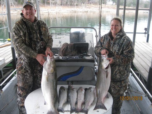 Nice Striped Bass