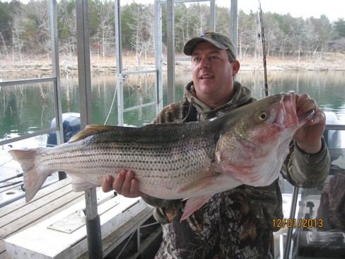 Nice Striped Bass