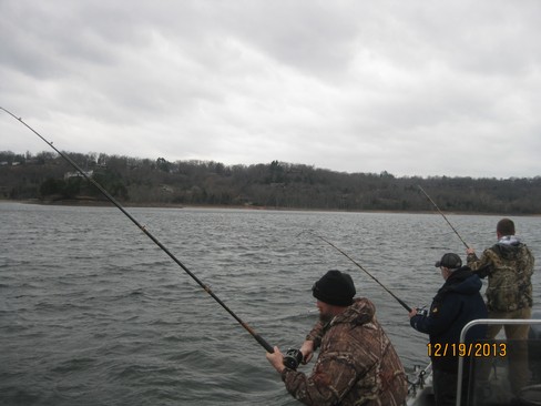 Nice Striped Bass
