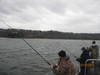 (12/19/2013) - Nice Striped Bass