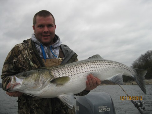 Nice Striped Bass
