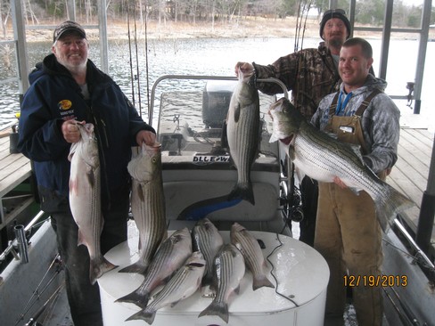 Nice Striped Bass