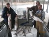 (12/19/2013) - Nice Striped Bass
