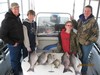 (04/21/2013) - Nice Striped Bass