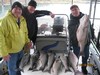 (04/26/2013) - Nice Striped Bass