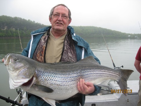 Nice Striped Bass