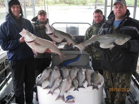 Nice Striped Bass