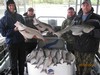 (05/04/2013) - Nice Striped Bass