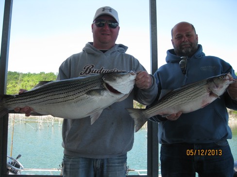 Nice Striped Bass