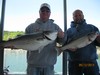 (05/12/2013) - Nice Striped Bass