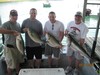 (05/17/2013) - Nice Striped Bass