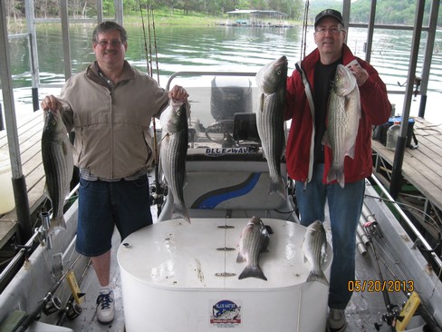 Nice Striped Bass