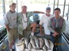 (05/22/2013) - Nice Striped Bass