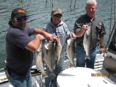 Nice Striped Bass