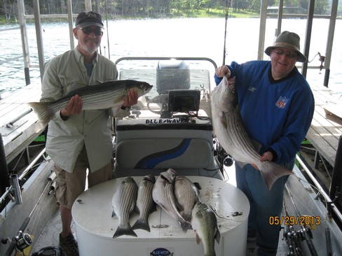 Nice Striped Bass