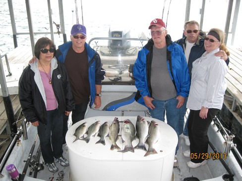 Nice Striped Bass
