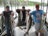 (05/30/2013) - Nice Striped Bass