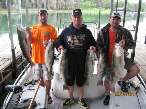 Nice Striped Bass
