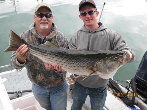 Nice Striped Bass