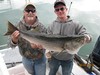 (06/02/2013) - Nice Striped Bass