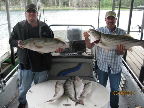 Nice Striped Bass
