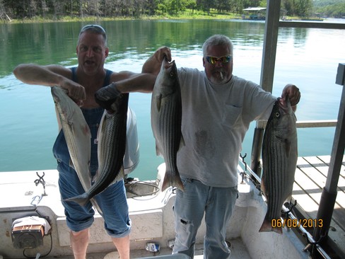 Nice Striped Bass