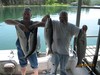 (06/08/2013) - Nice Striped Bass