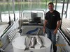 (06/09/2013) - Nice Striped Bass