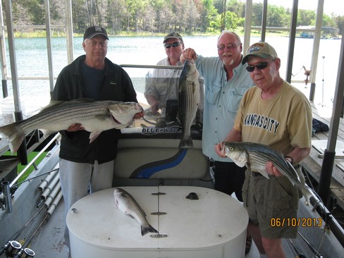 Nice Striped Bass