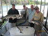 (06/10/2013) - Nice Striped Bass