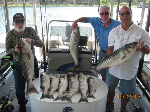 Nice Striped Bass