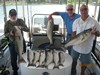 (06/12/2013) - Nice Striped Bass