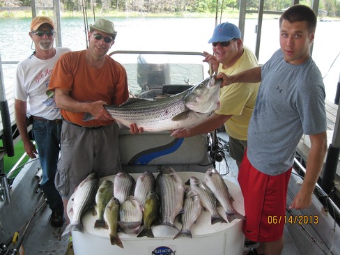 Nice Striped Bass