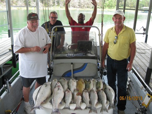 Nice Striped Bass