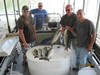 (06/16/2013) - Nice Striped Bass
