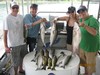 (06/18/2013) - Nice Striped Bass