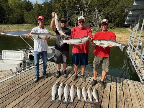 Nice Striped Bass