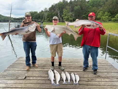 Nice Striped Bass