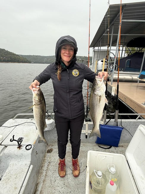 Nice Striped Bass
