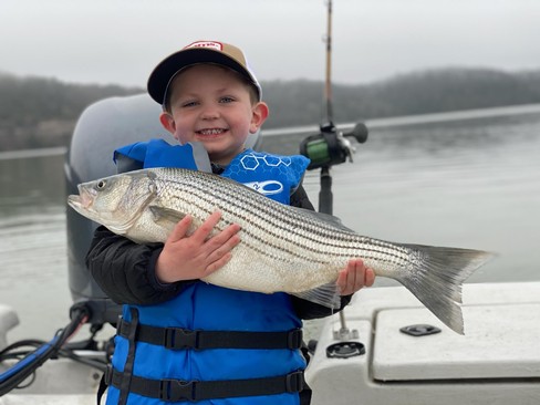 Nice Striped Bass